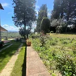Tognazzi - Panoramic * Certaldo