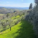 Villa Tognazzi - Panoramic