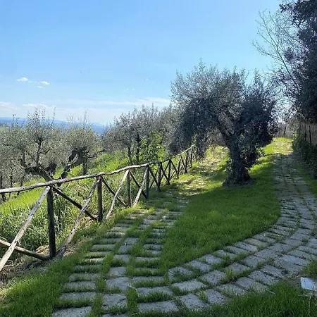 Tognazzi - Panoramic Vila *