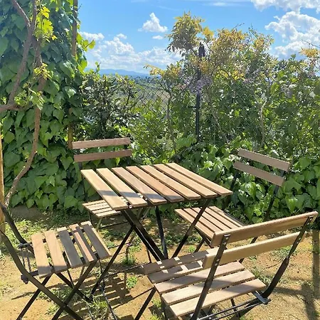 Tognazzi - Panoramic Vila Certaldo