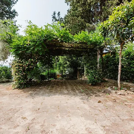 Tognazzi - Panoramic