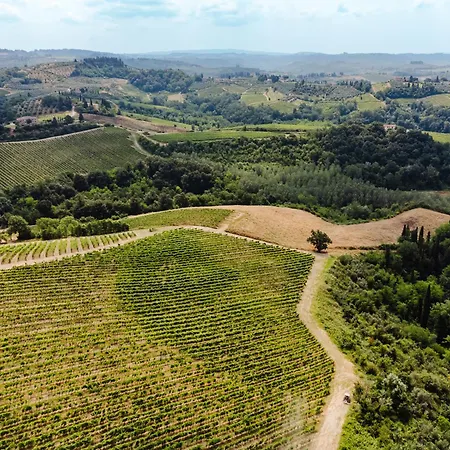 Tognazzi - Panoramic Certaldo