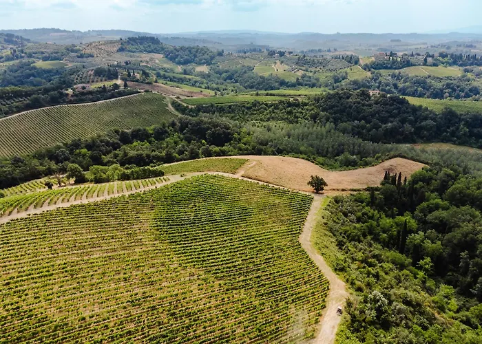 Tognazzi - Panoramic Certaldo